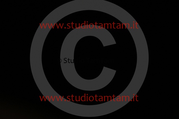 MAT_9770.JPG