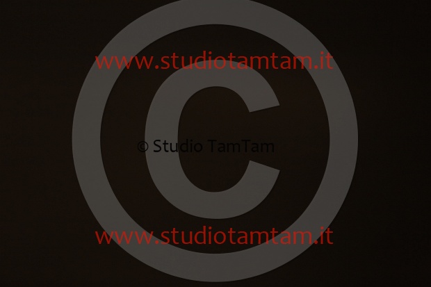 MAT_0076.JPG