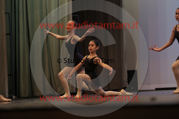 MAT_0645.JPG