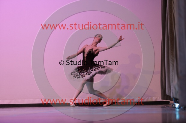MAT_1233.JPG