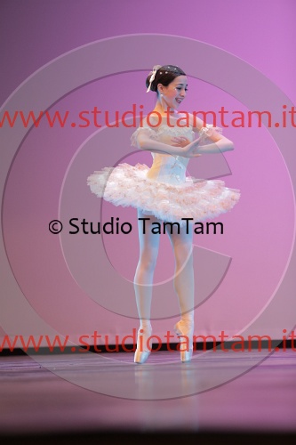 MAT_1589.JPG