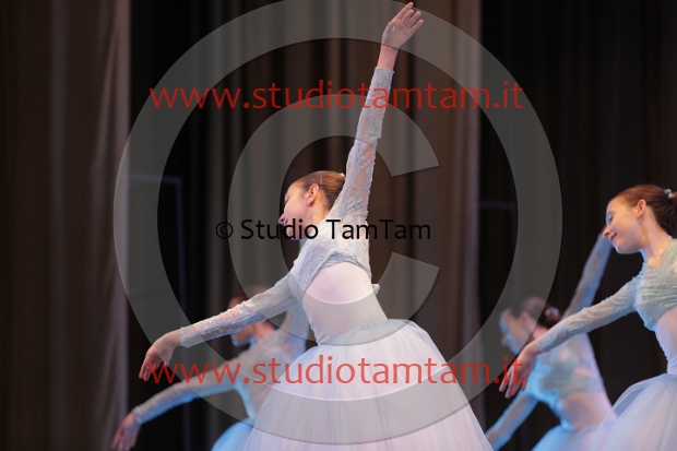 MAT_2164.JPG