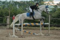 IMGB5451