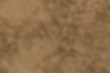 IMGB5466