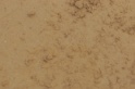 IMGB5476