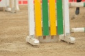 IMGB5944