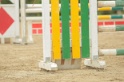 IMGB6155