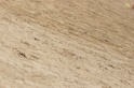 IMGB9445