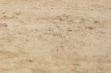IMGB9683