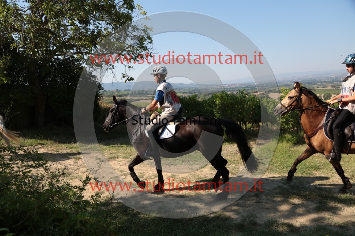 MAT_4256.JPG