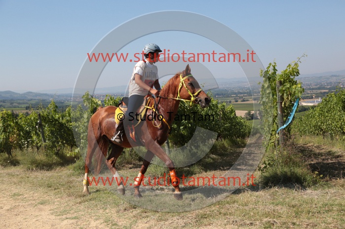 MAT_4614.JPG