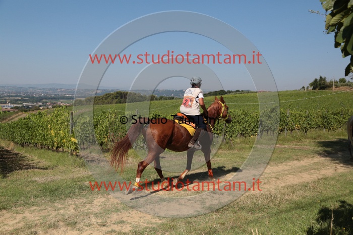 MAT_4641.JPG