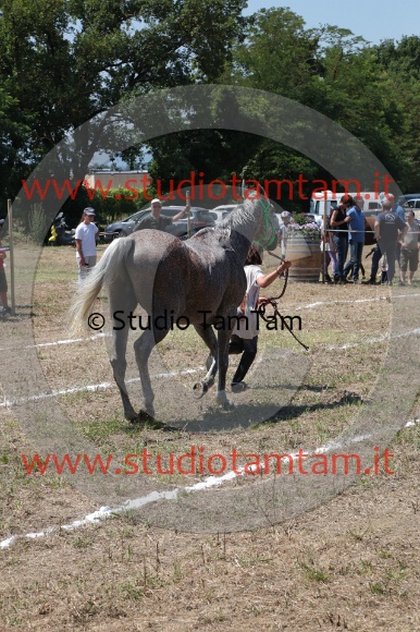 MAT_5091.JPG
