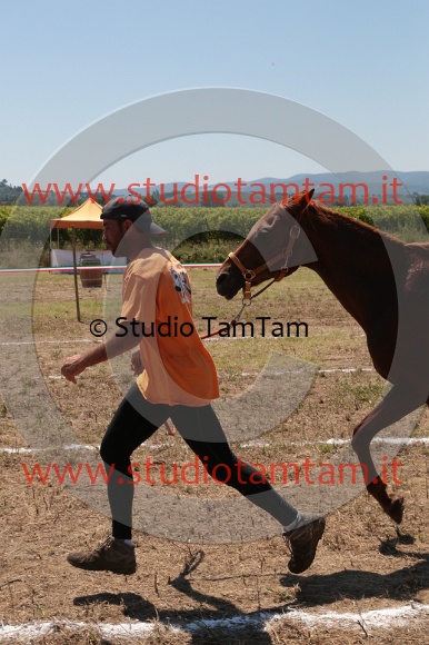 MAT_5147.JPG