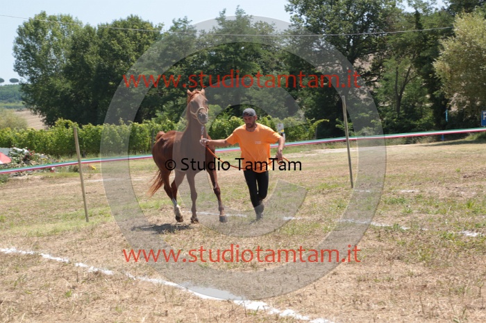 MAT_5155.JPG