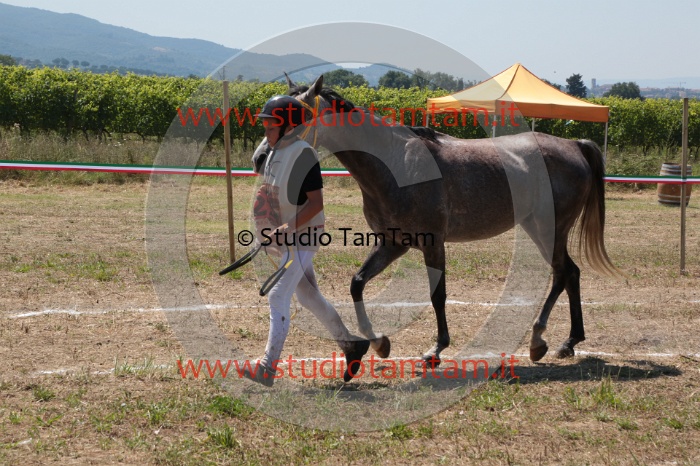 MAT_5246.JPG