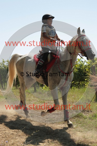 IMGB1392.JPG