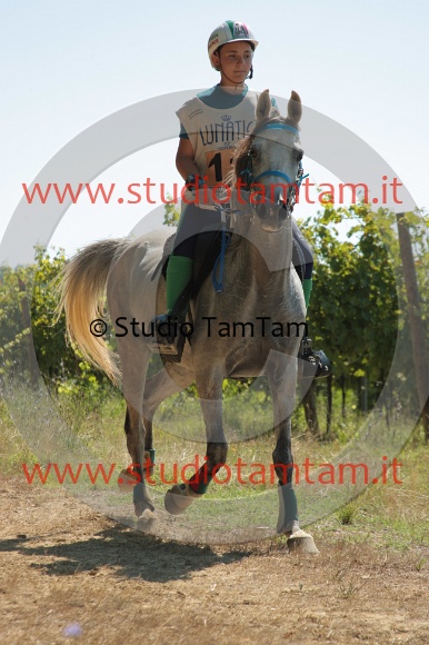 IMGB1412.JPG
