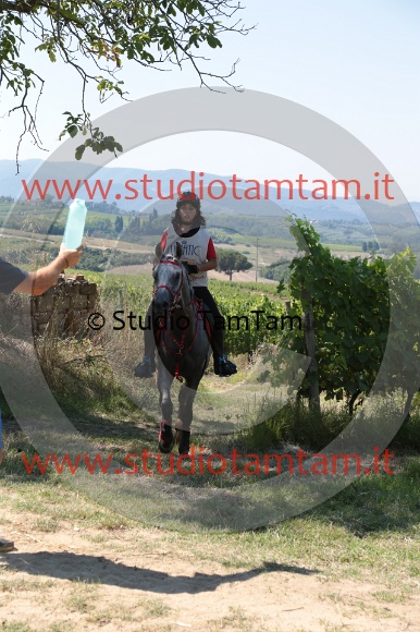MAT_4783.JPG