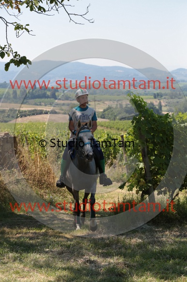 MAT_4893.JPG