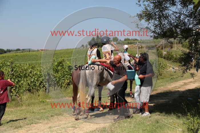 MAT_4905.JPG