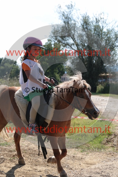 MAT_5859.JPG