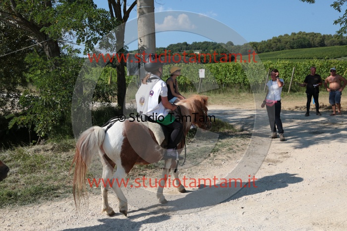 MAT_5865.JPG
