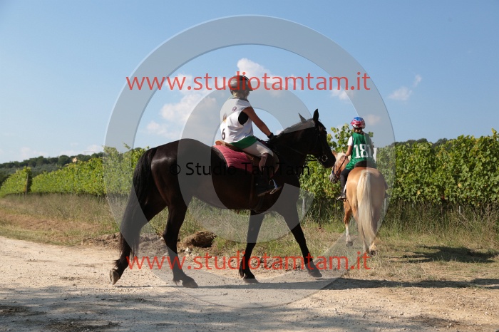MAT_5991.JPG