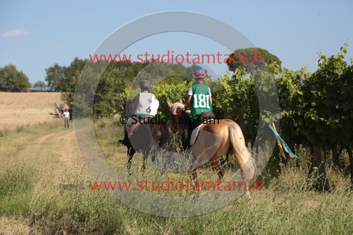 MAT_6032.JPG