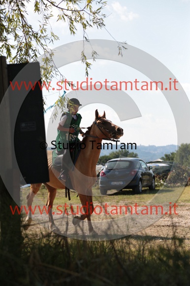MAT_6036.JPG