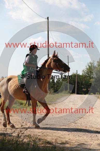 MAT_6039.JPG