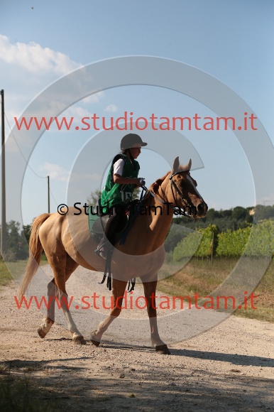 MAT_6041.JPG