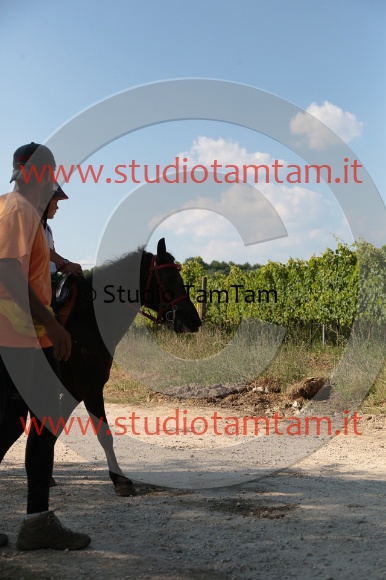 MAT_6048.JPG