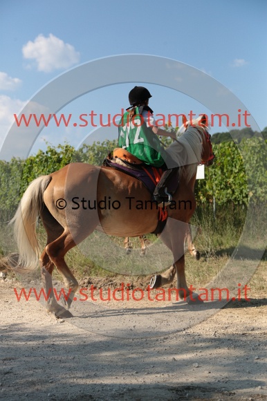 MAT_6055.JPG