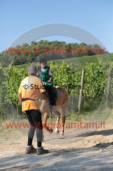 MAT_6071.JPG
