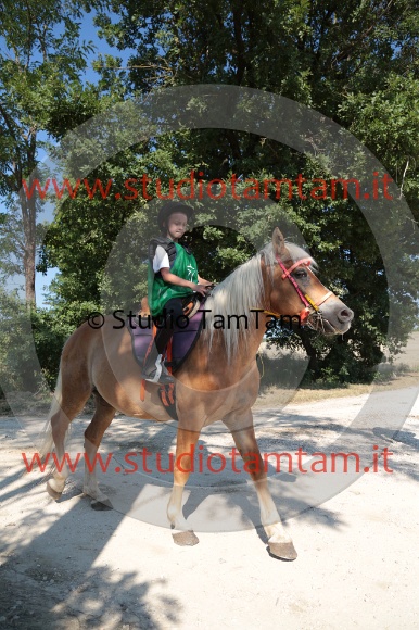 MAT_6086.JPG