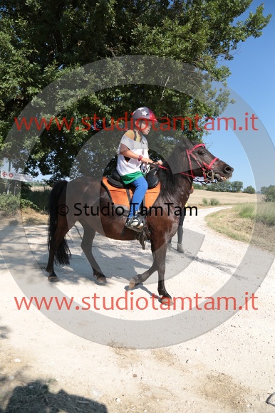 MAT_6089.JPG