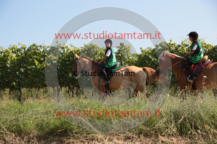 MAT_6096.JPG