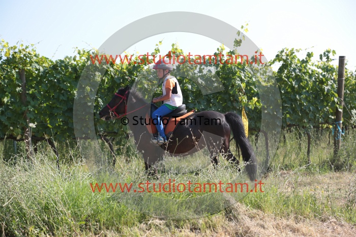 MAT_6099.JPG