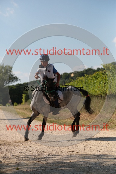 MAT_6114.JPG