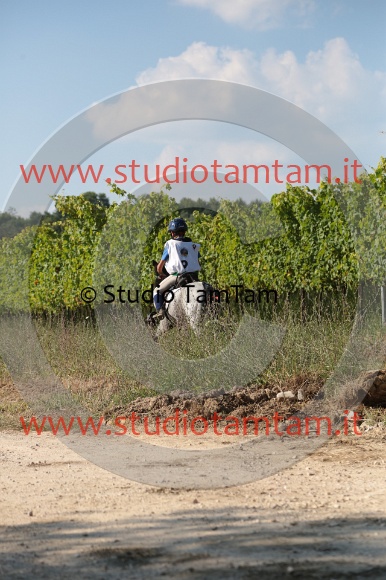 MAT_6123.JPG