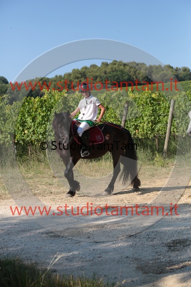 MAT_6134.JPG