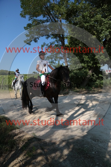 MAT_6140.JPG