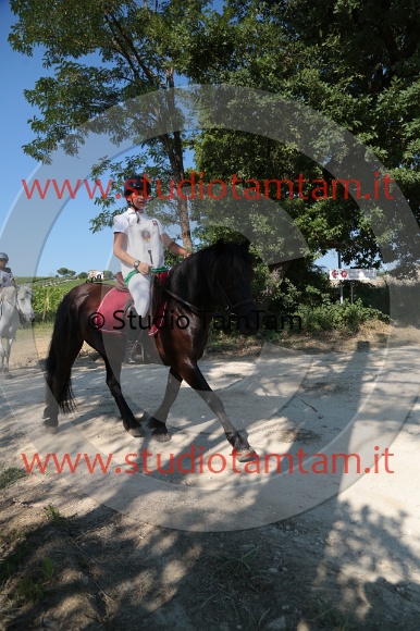MAT_6141.JPG