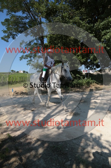 MAT_6147.JPG