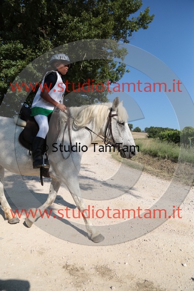 MAT_6151.JPG