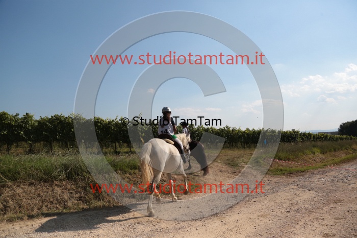 MAT_6153.JPG