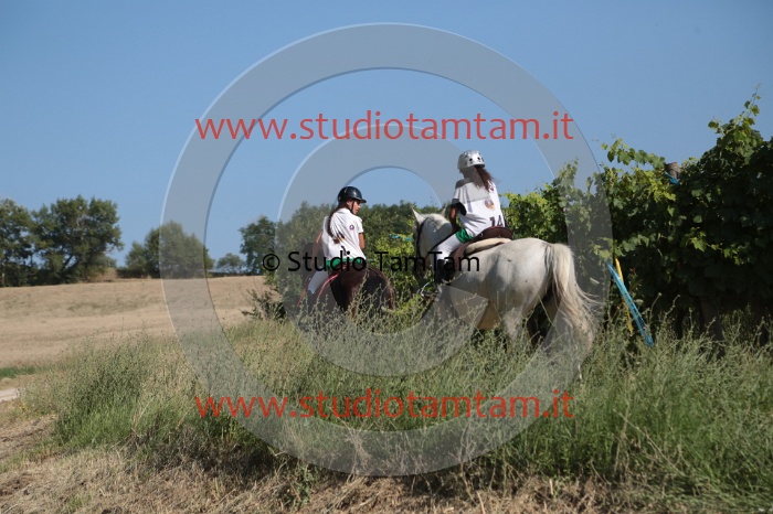 MAT_6166.JPG