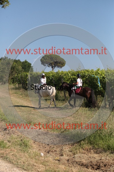 MAT_6169.JPG