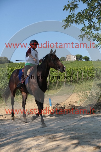 MAT_6184.JPG
